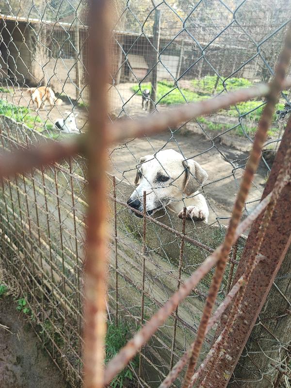 Jonny...facciamo una magia? 😍 Foto 5