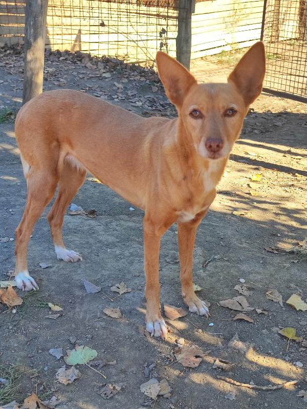 J Lo, Ma Più Bella Dell'originale🥰