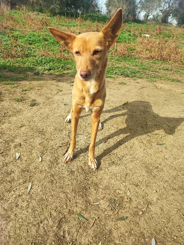 J Lo, ma più bella dell'originale🥰 Foto 2