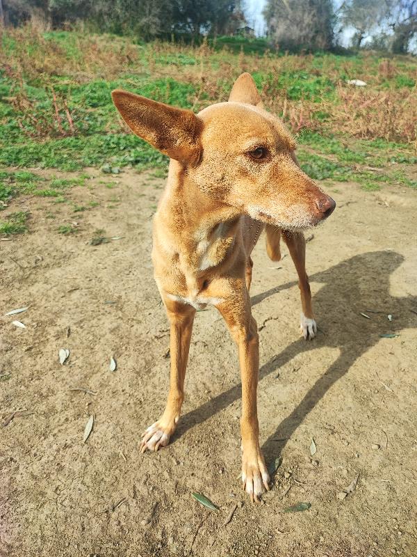 J Lo, ma più bella dell'originale🥰 Foto 3