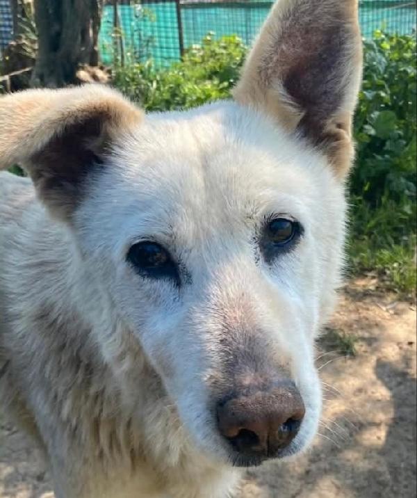 Luna e Sole,  le stelle più belle💕 Foto 2