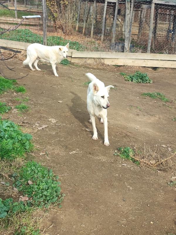 Luna e Sole,  le stelle più belle💕 Foto 3