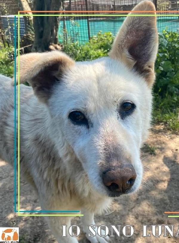 Luna e Sole,  le stelle più belle💕 Foto 4