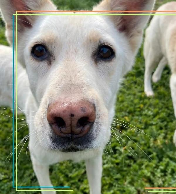 Luna e Sole,  le stelle più belle💕 Foto 5