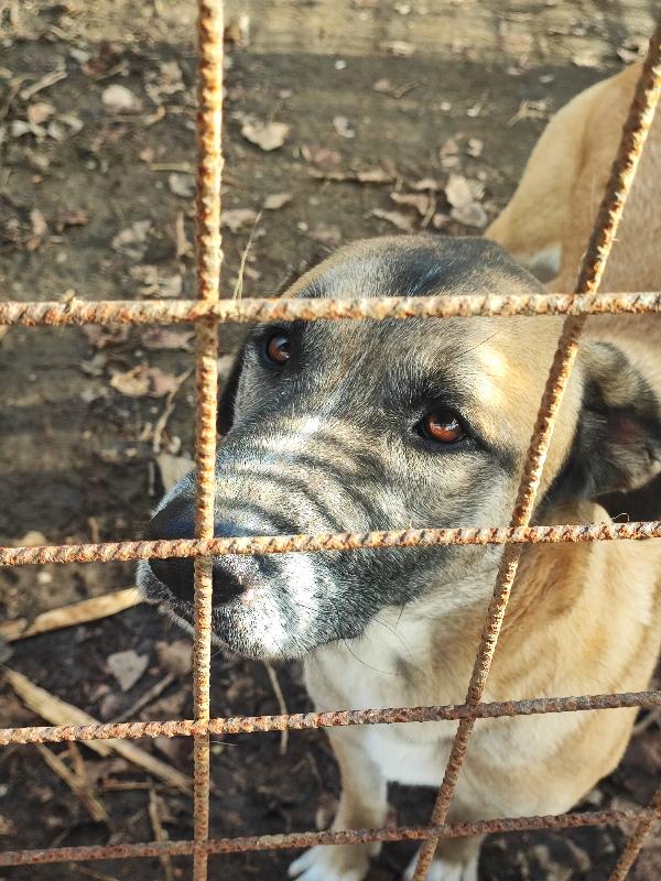 Paco, semplicemente perfetto 🤍 Foto 2