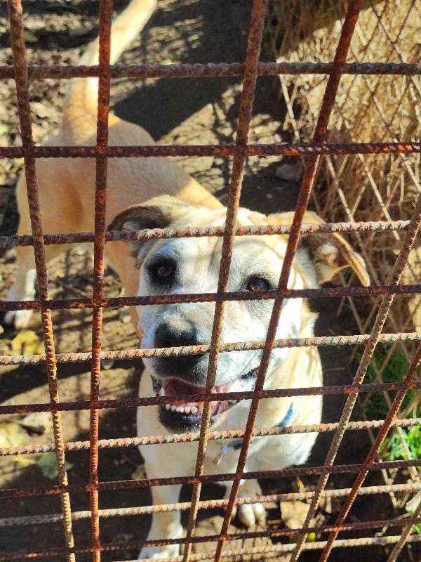 Amy, Non Puoi Non Innamorartene💕