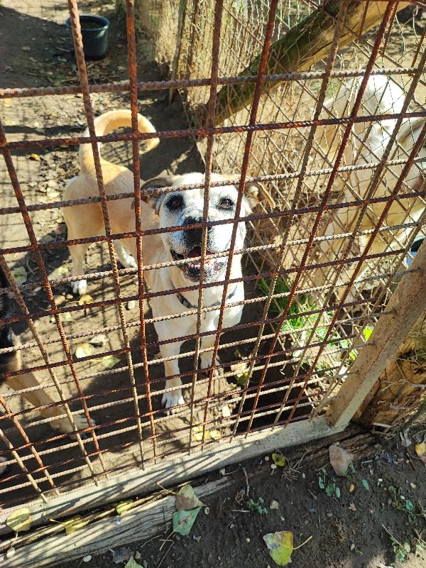 Amy, non puoi non innamorartene💕 Foto 2