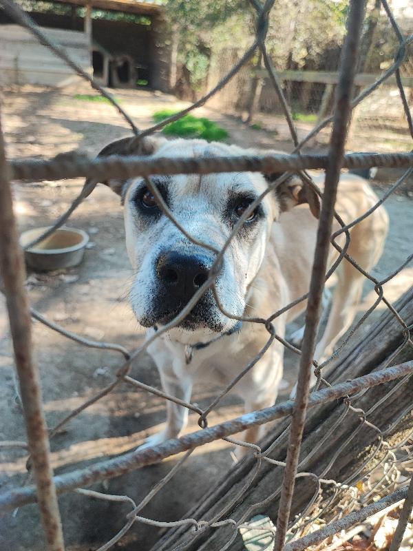 Amy, non puoi non innamorartene💕 Foto 4