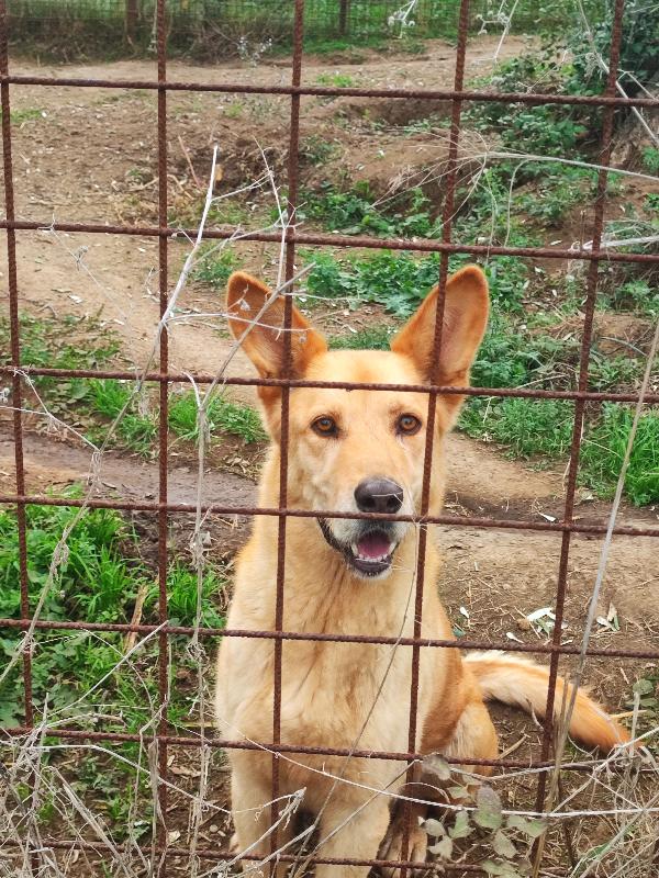 Marley, Non Trova Più I Bambini😭