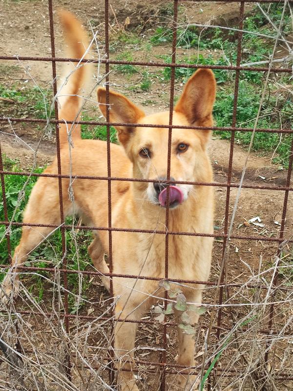 Marley, non trova più i bambini😭 Foto 2
