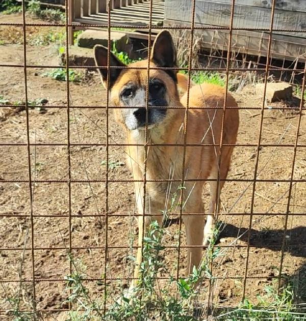 Artù... Senza Cavalieri, È Rimasto Solo