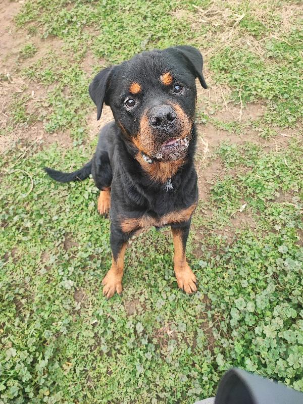 Il Dio Tra Tutti... Zeus ❣️