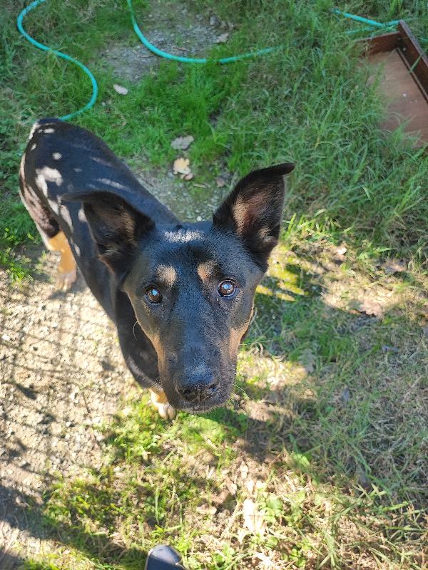 Asia Non Ha Bisogno Dei Tuoi, Tu Del Suo Cuore, Si❣️