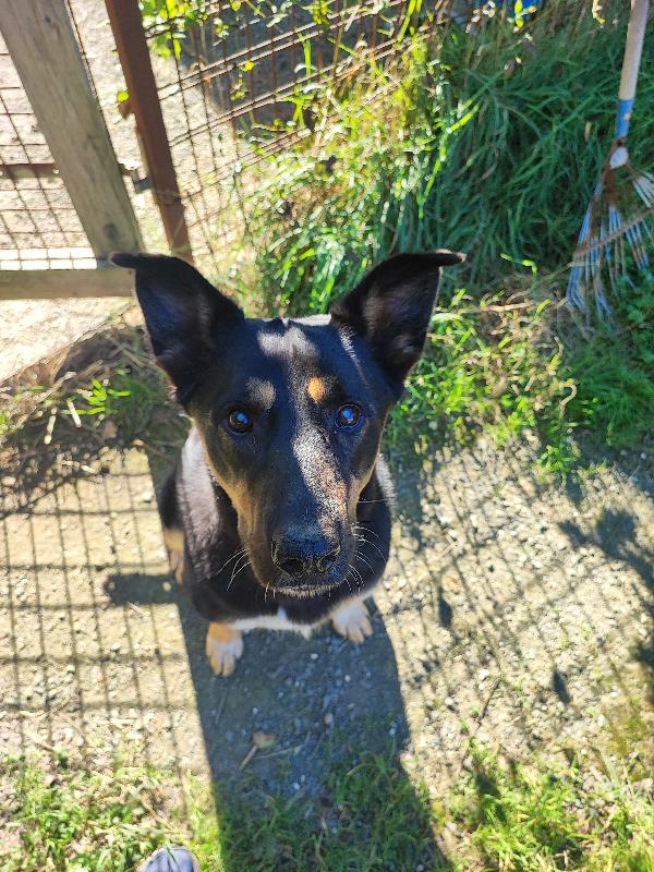 Asia non ha bisogno dei tuoi, tu del suo cuore, si❣️ Foto 2