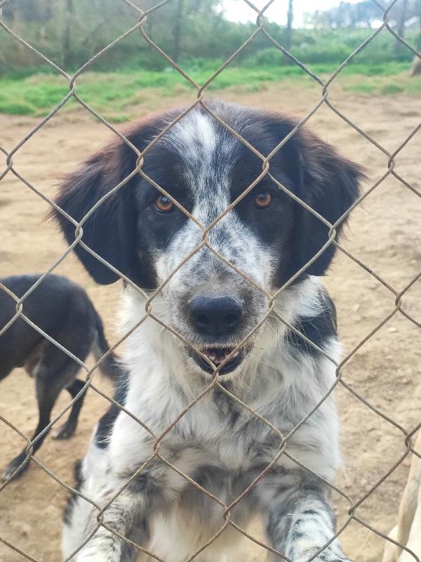 Pedro... La Bellezza Ha Tanti Colori🤍