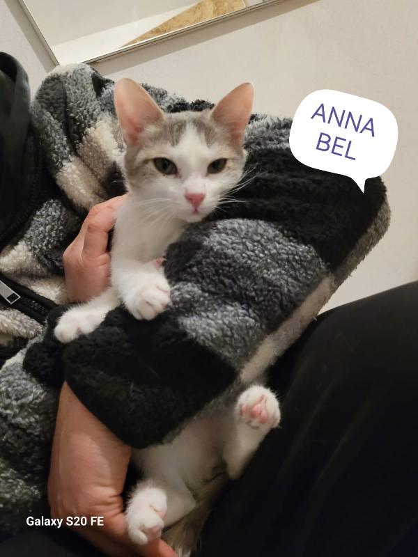 TABATA TINA E ANNABEL MICIOTTE DI 5 MESI Foto 2