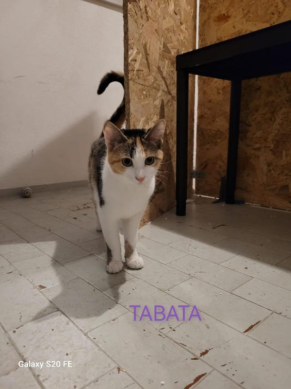 TABATA TINA E ANNABEL MICIOTTE DI 5 MESI Foto 4