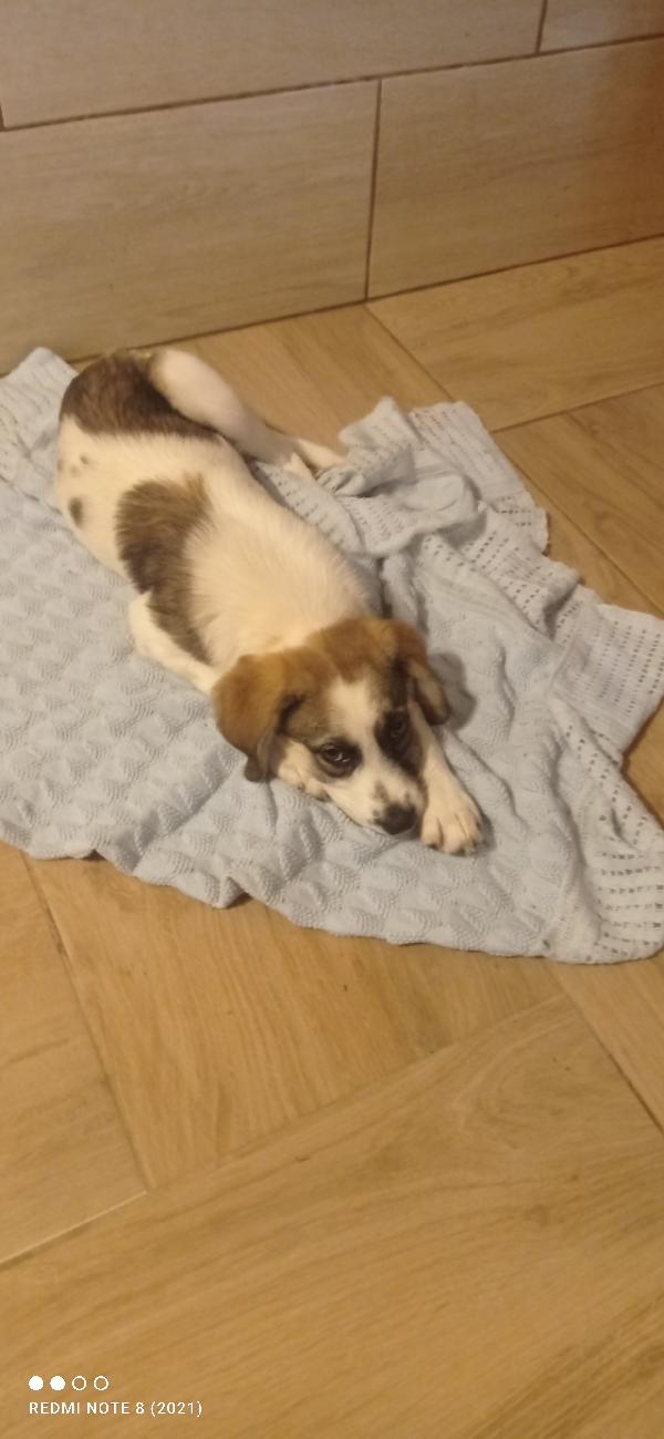 Dolce Ambra 💓💓💓💓💓👇👇👇👇👇👇👇 Foto 3