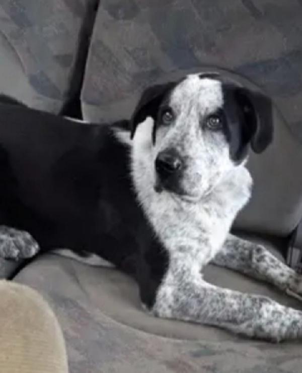 Chris 3Anni Mollato In Montagna 2Anni Fa Roma