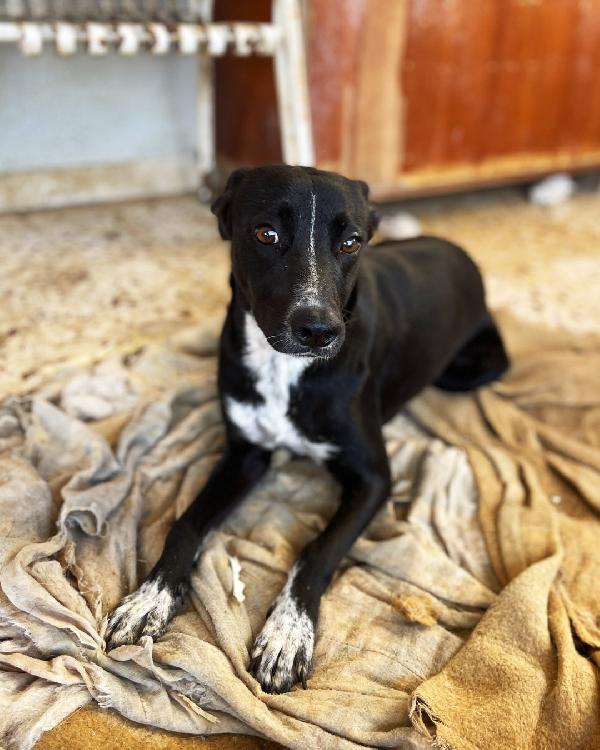 Luna E Ludmilla ,Due Sorelline In Cerca Di Amore