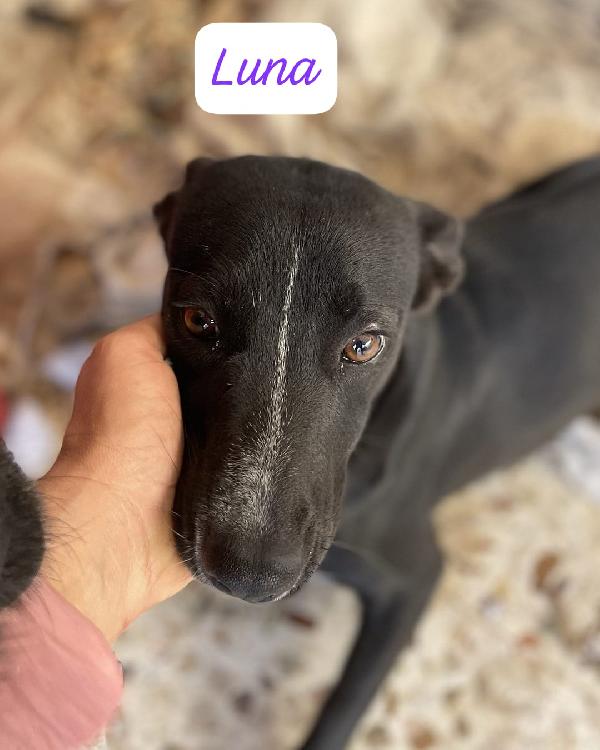 Luna e Ludmilla ,due sorelline in cerca di amore Foto 2