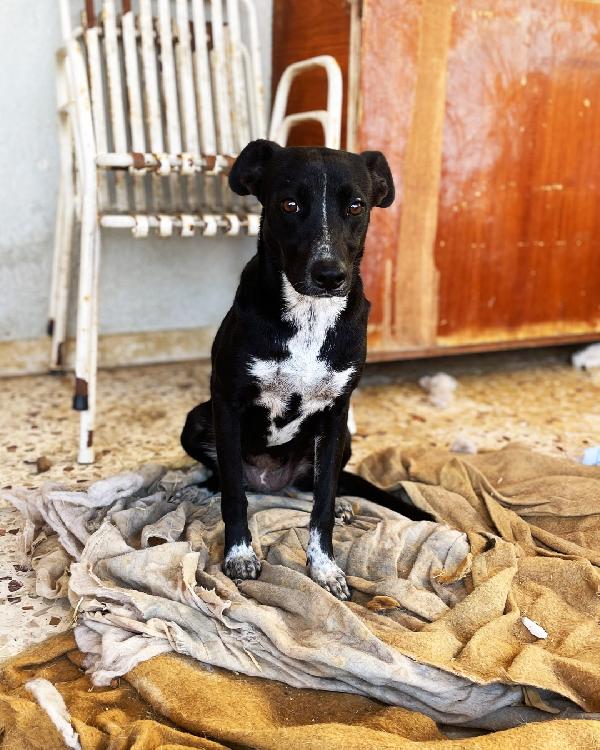 Luna e Ludmilla ,due sorelline in cerca di amore Foto 4