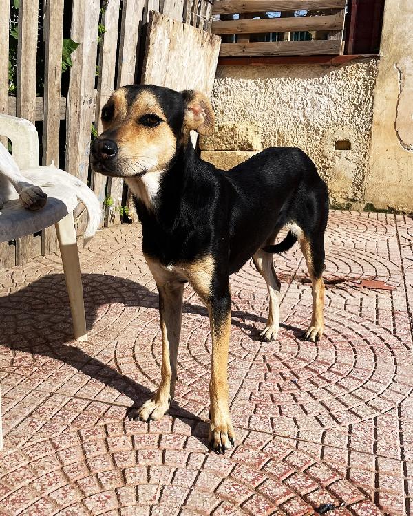 Luna e Ludmilla ,due sorelline in cerca di amore Foto 5