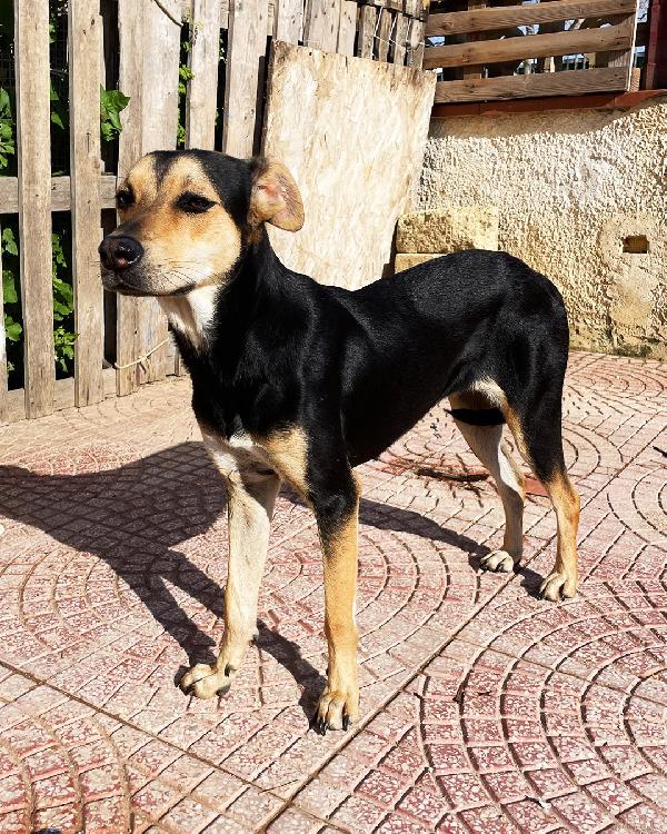 Luna e Ludmilla ,due sorelline in cerca di amore Foto 7