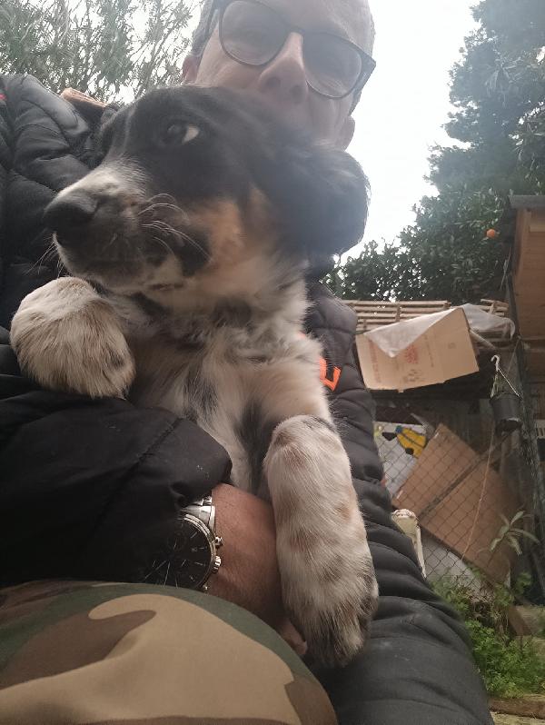 Cucciola Dory cerca mamma  Foto 3