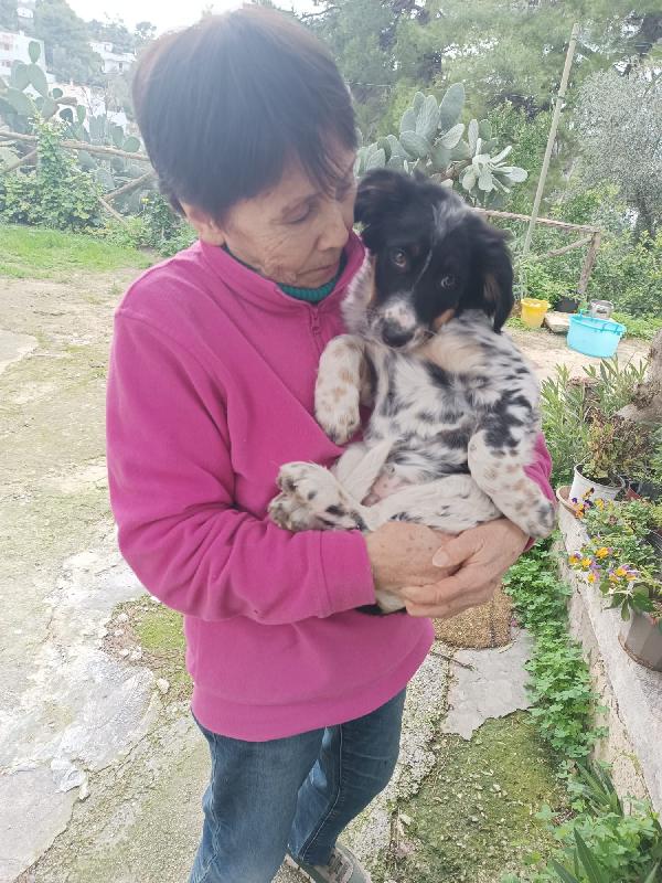 Cucciola Dory cerca mamma  Foto 5