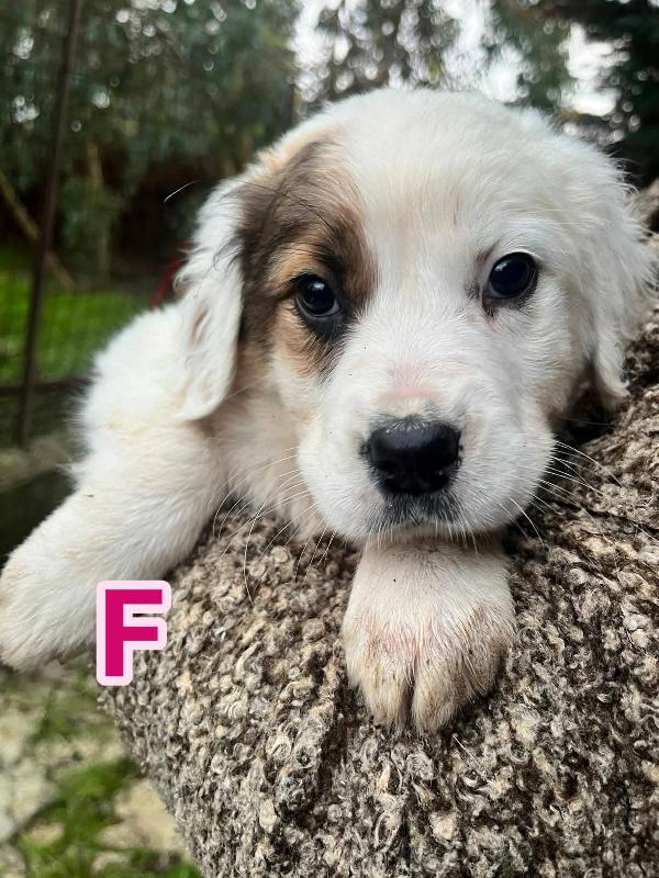 Aiutaci A Trovarle Casa