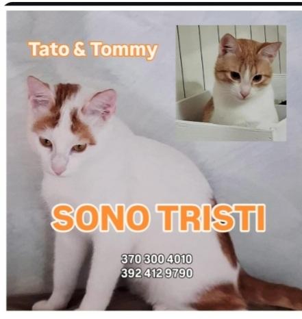 2Mici Fratelli Bianchi/Rossi 7/8Mesi Roma