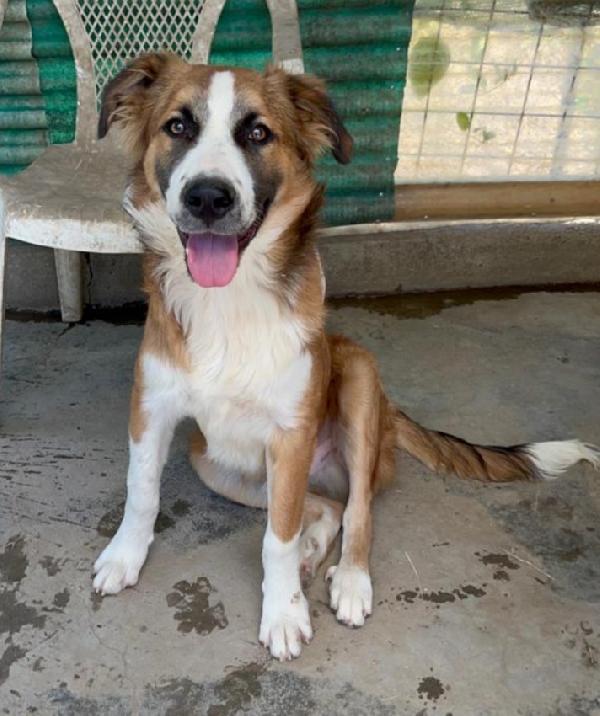 Tobia 2Anni Bello Buono Ma Invisibile! Sicilia