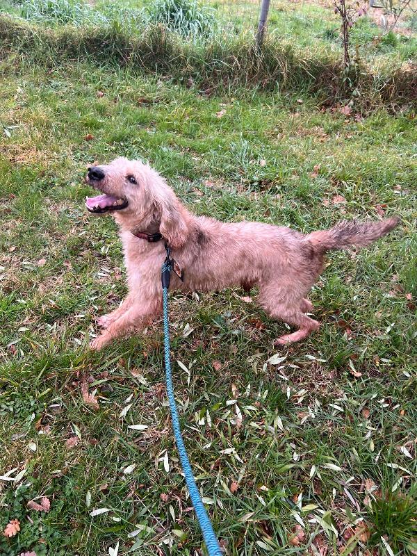 IL DOLCISSIMO JERRY Foto 2