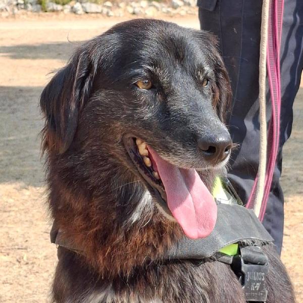 Lilly, La Principessa