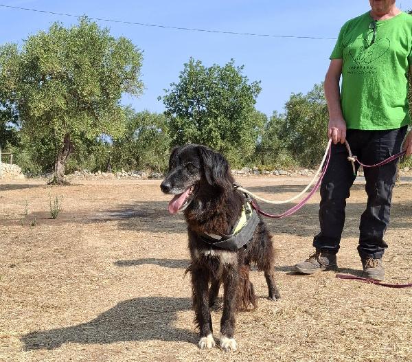 Lilly, la principessa Foto 3