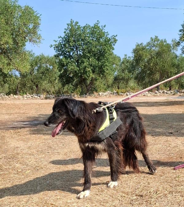 Lilly, la principessa Foto 5