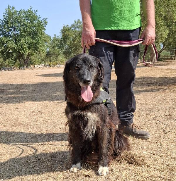 Lilly, la principessa Foto 6