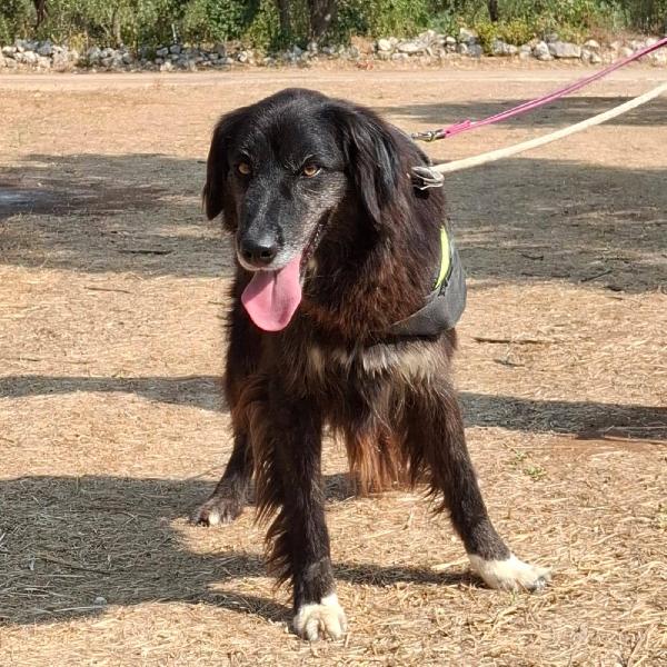 Lilly, la principessa Foto 7