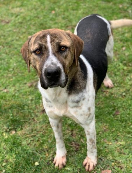 Perù 4Anni Buon Carattere È Stato Trasferito! Viterbo