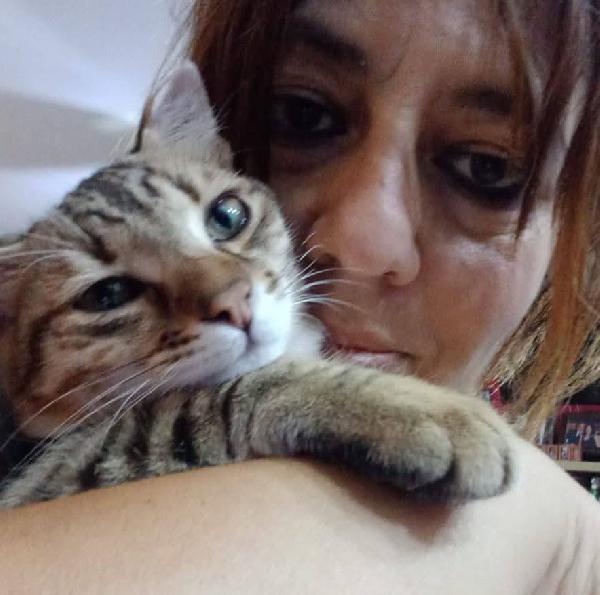 STITCH, tenero cucciolo in adozione ! Foto 5