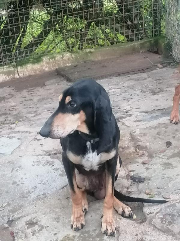 SEGUGINA CERCA CASA  Foto 2