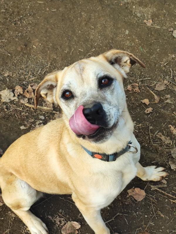 Amy, non puoi non innamorartene💕 Foto 2