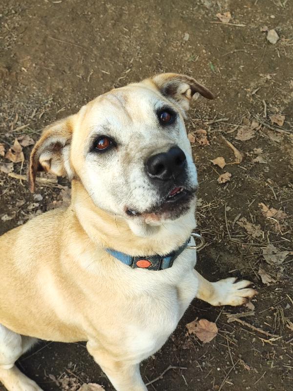 Amy, non puoi non innamorartene💕 Foto 3