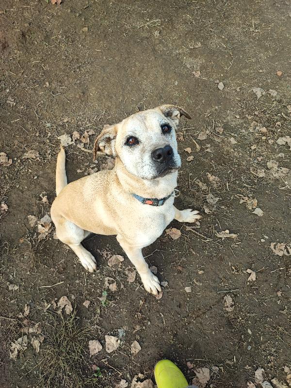 Amy, non puoi non innamorartene💕 Foto 4