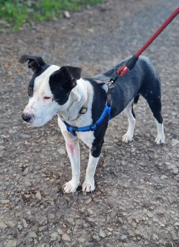 UNA MAMMA PER JACK Foto 2