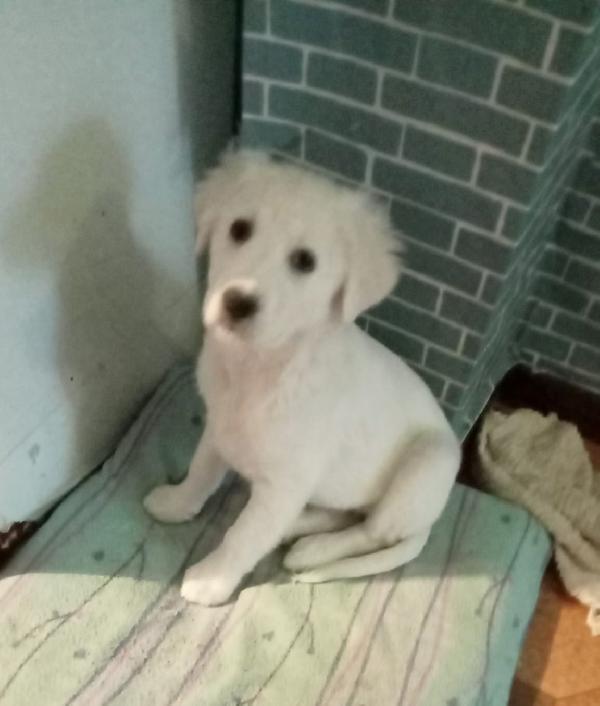 Danny ancora aspetta Foto 3