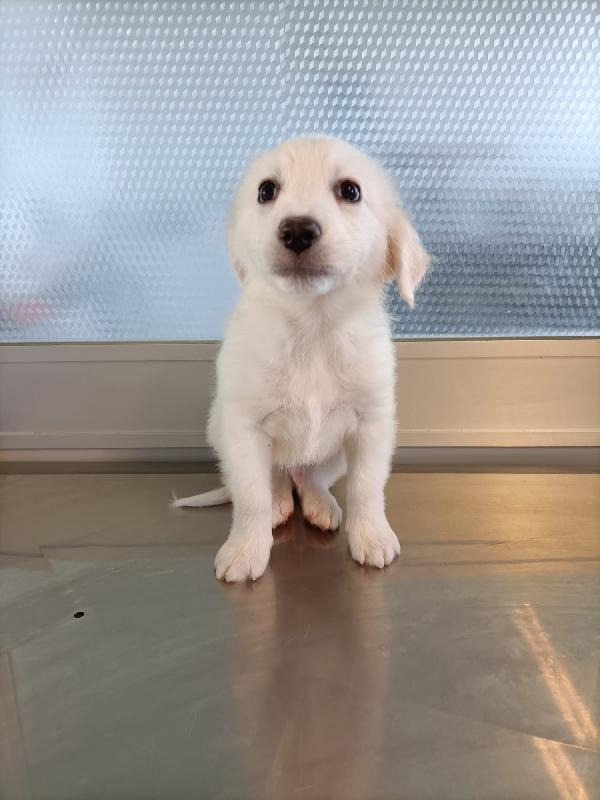 Danny ancora aspetta Foto 5