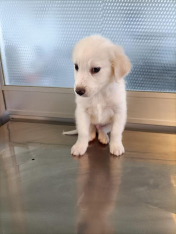 Danny ancora aspetta Foto 6