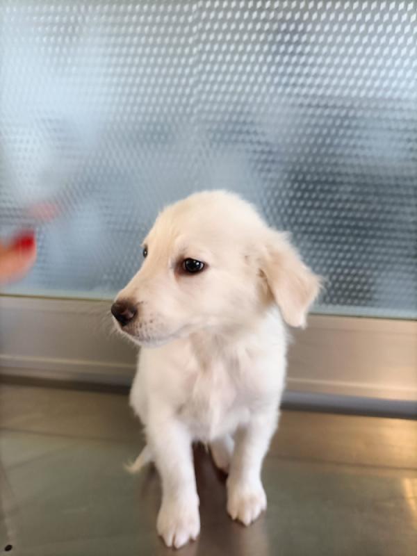 Danny ancora aspetta Foto 7